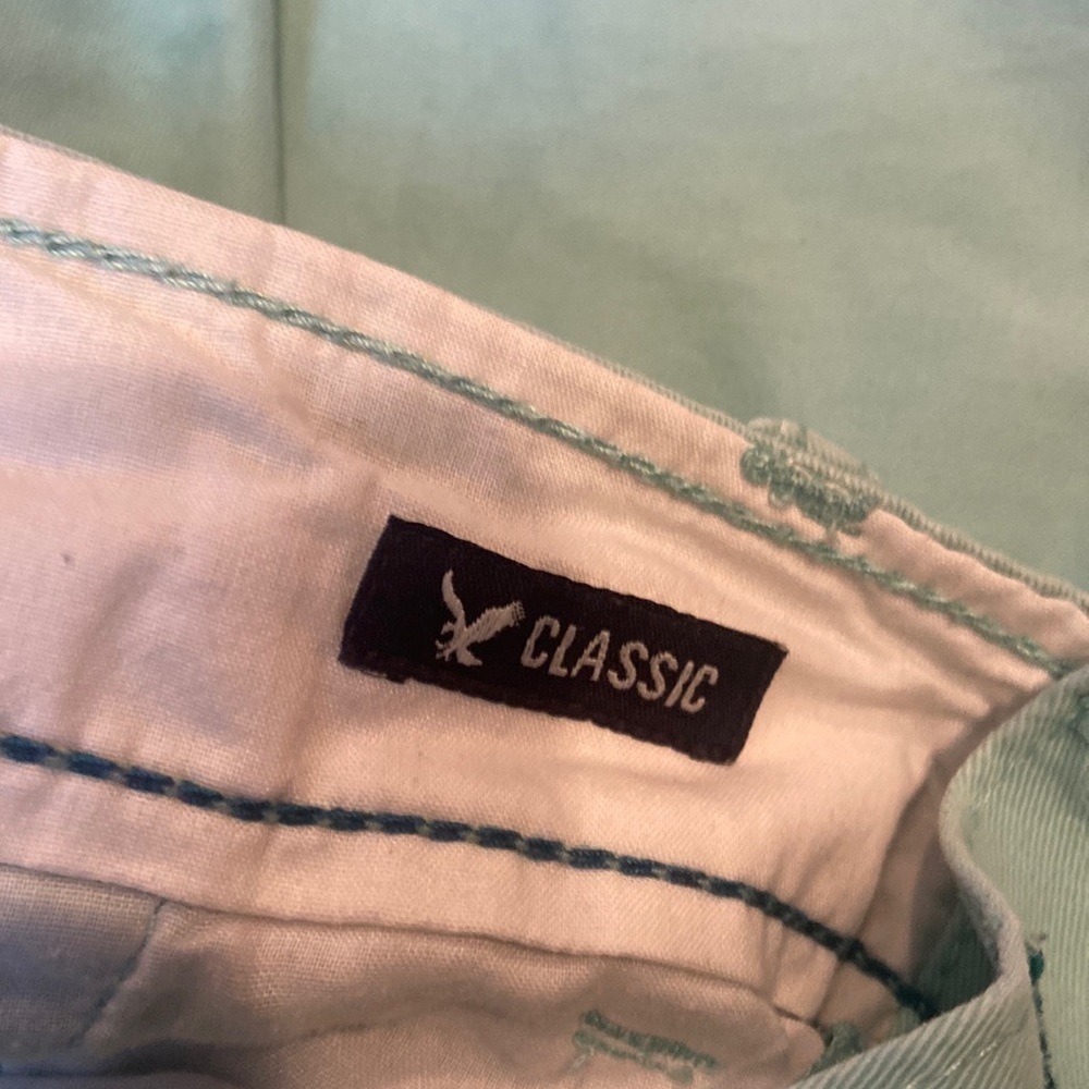American Eagle Outfitters Flat Front Green Shorts - Picture 8 of 8